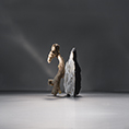 Avenue photographe roger chappellu
